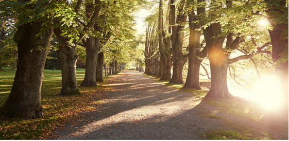 Lindenhof-Park